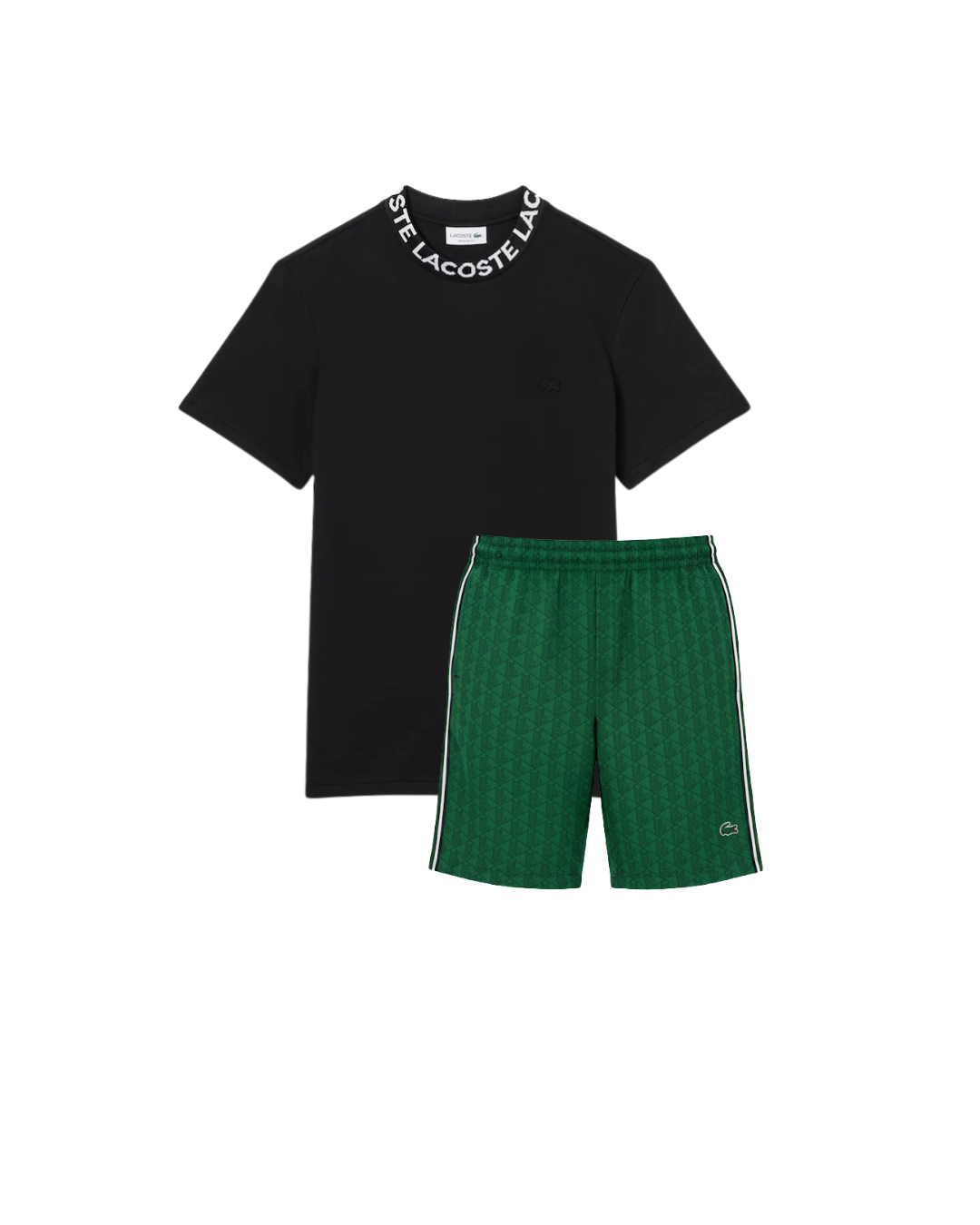 Conjunto Lacoste