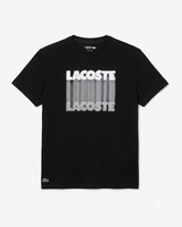 Camiseta Lacoste - Padrão Site