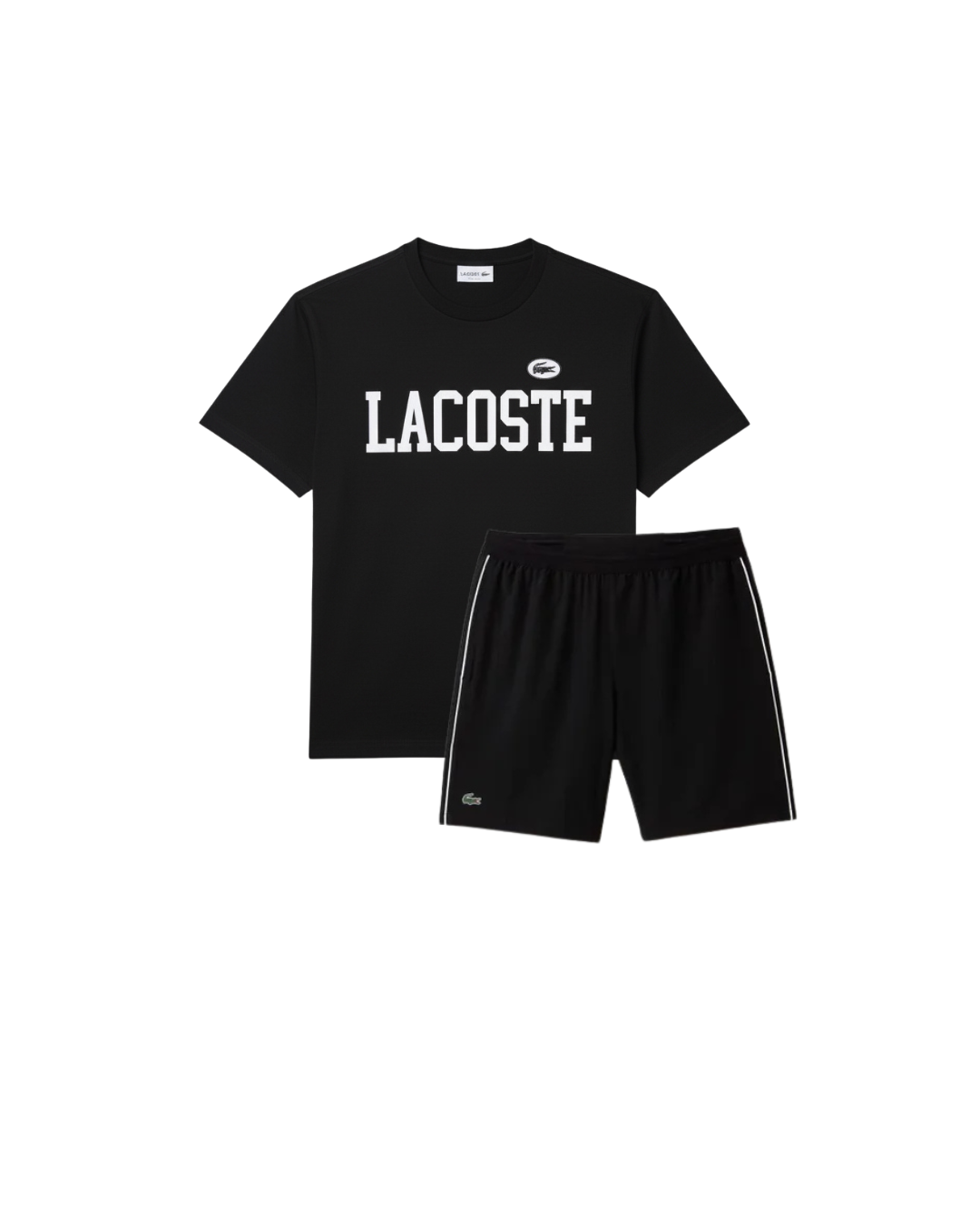 Conjunto Lacoste